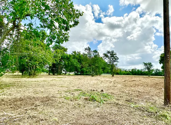 Iowa Colony, TX 77583,0 W Colony Loop RD