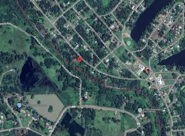 Holiday Lakes, TX 77515,0 0 Creekside DR