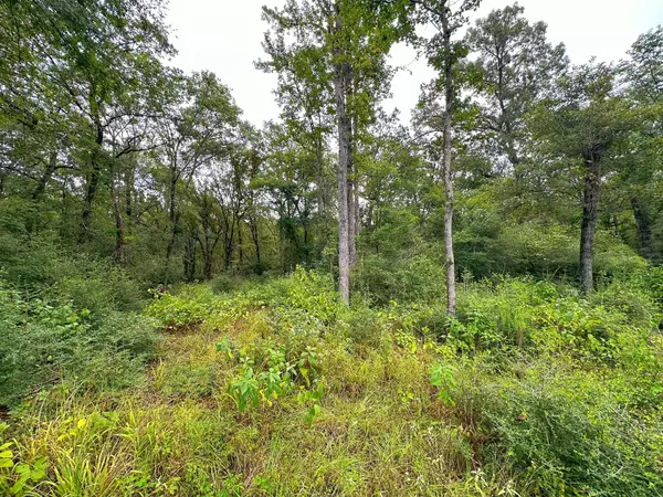 Centerville, TX 75833,5 ac CR 231
