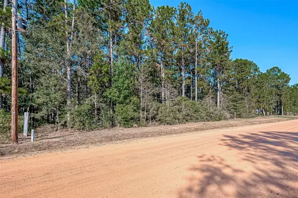 0 Oak Ridge ST, Cleveland, TX 77328
