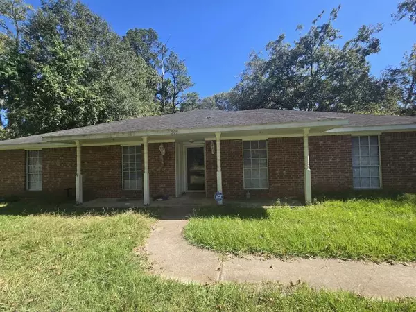 Daisetta, TX 77533,509 Bobcat LN