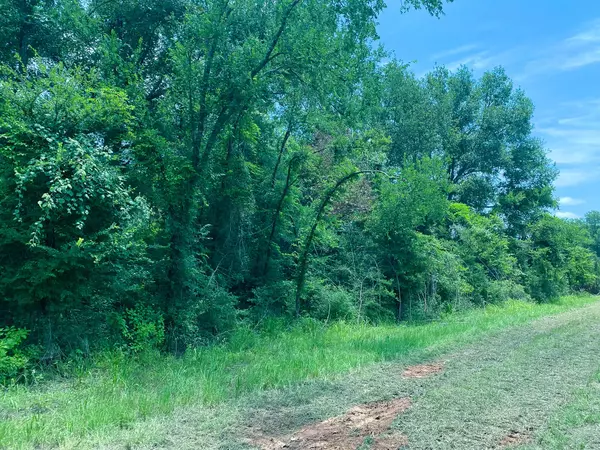 Marquez, TX 77865,4680 County Road 426