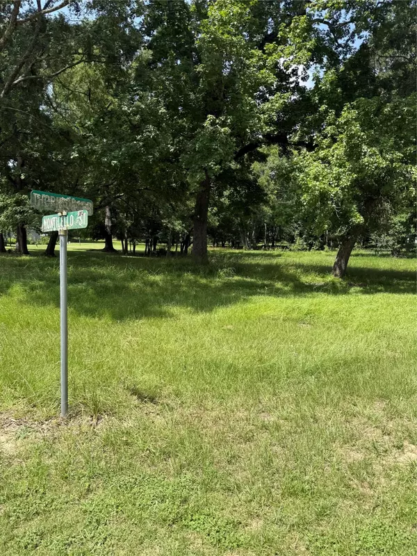 Blk 7 Lot 9 Monticello St ST, Trinity, TX 75862