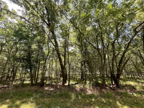 Holiday Lakes, TX 77515,0 Eskimo LN