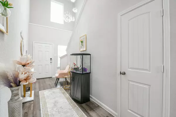 Spring, TX 77373,5015 Yellow Ginko TRL