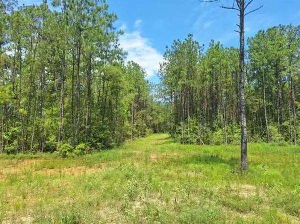 Buna, TX 77612,6811 PR 8235