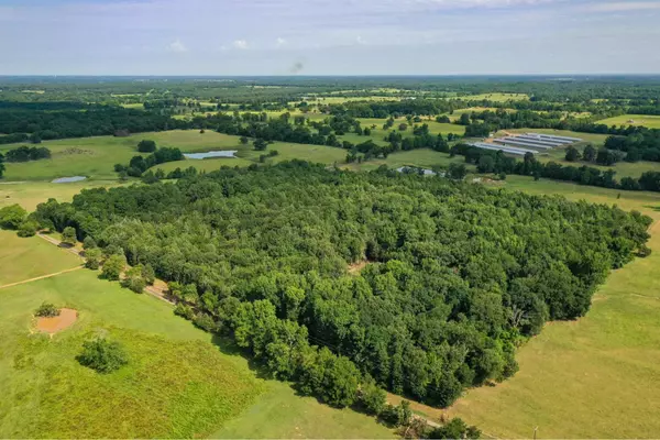 Omaha, TX 75571,TBD CR 4330