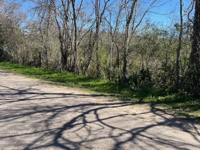 Dayton, TX 77535,0 Woodland LN