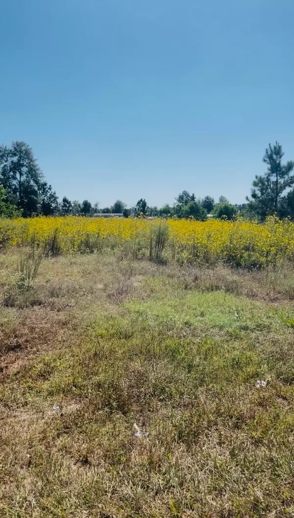 Cleveland, TX 77327,388 County Road 5017