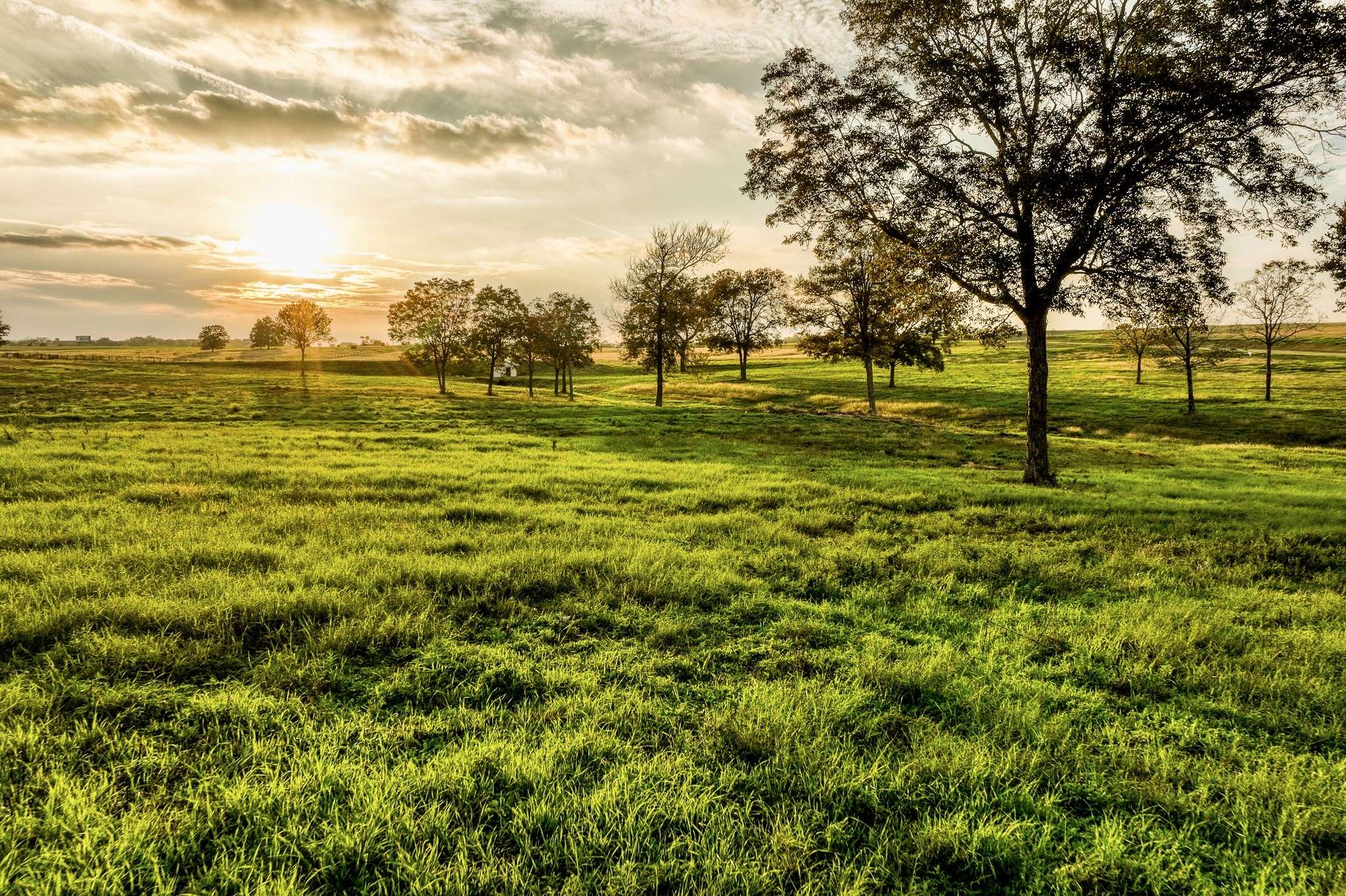Chappell Hill, TX 77426,TBD Sunny Hills, Lot 1 DR