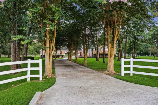 Magnolia, TX 77354,39414 Lago DR