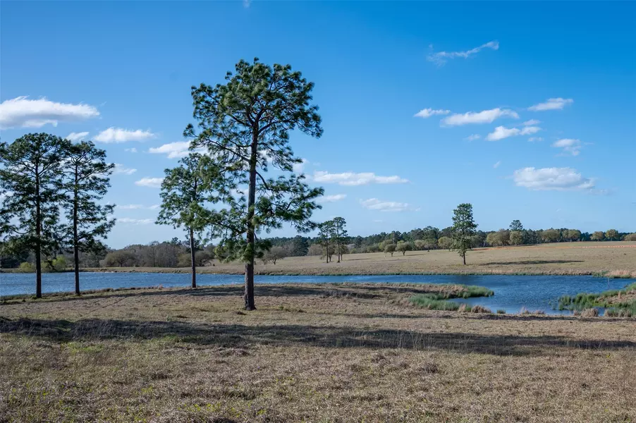 415 Evergreen TRL, Woodville, TX 75979