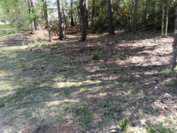 1004 White River RD, Conroe, TX 77316