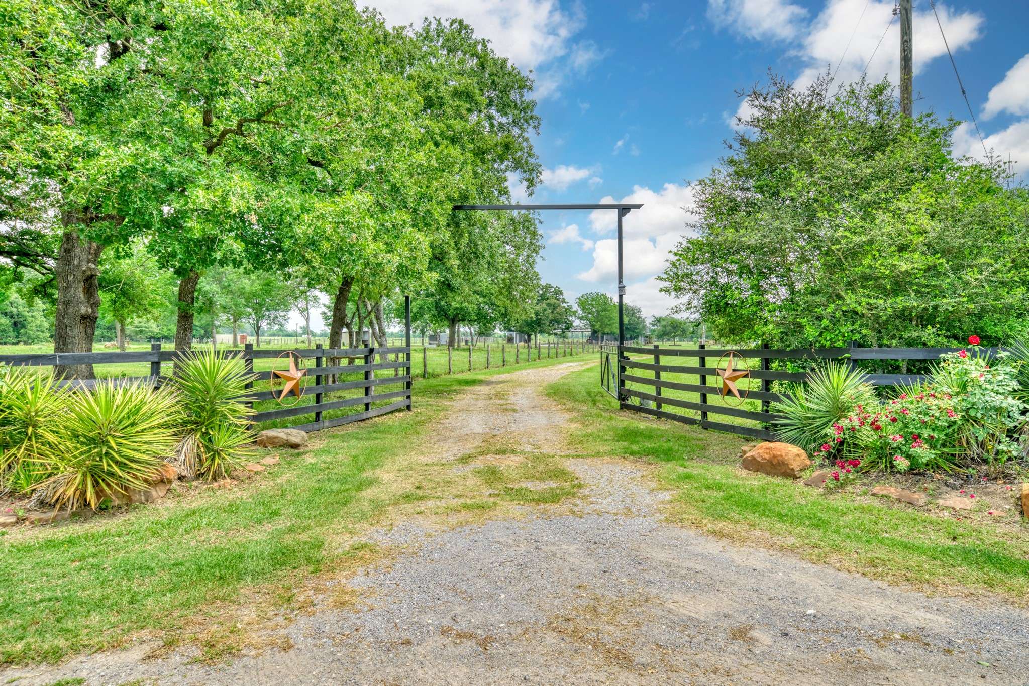 2266 Dutton LN, Madisonville, TX 77864