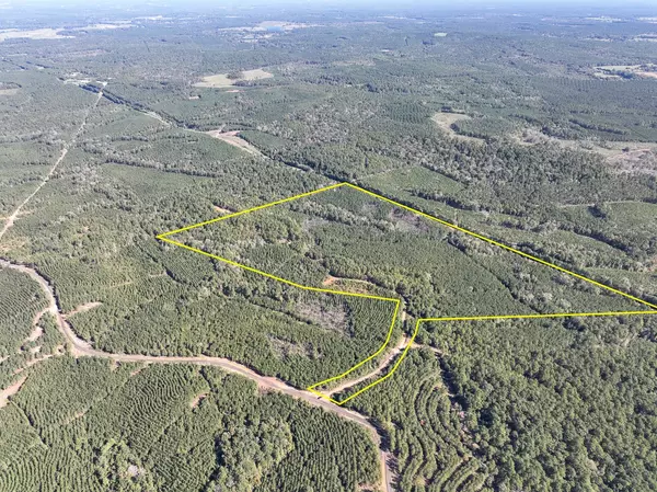 05 County Road 1060, Center, TX 75935
