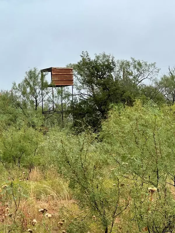 Colorado City, TX 79512,000 County Rd 343