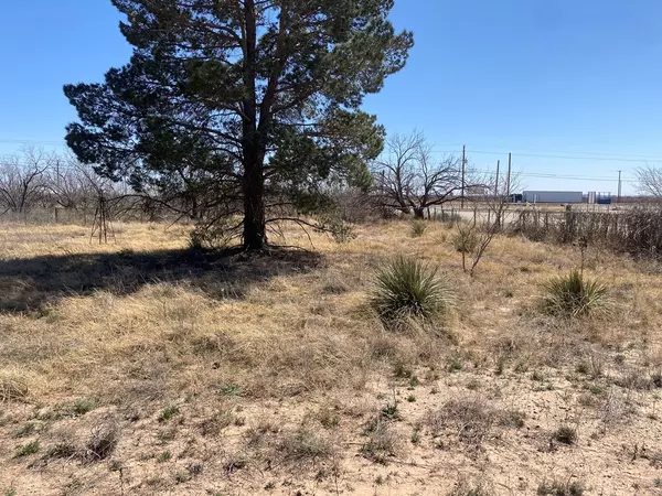 Coahoma, TX 79511,209 Aztec