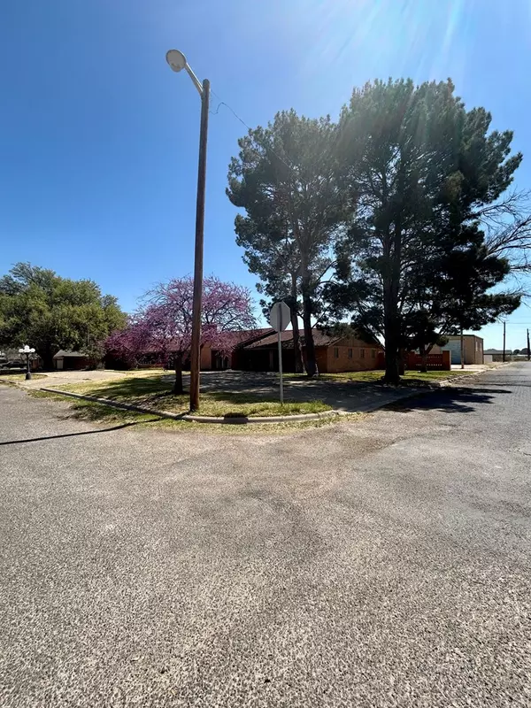 Fort Stockton, TX 79735,2011 6th St