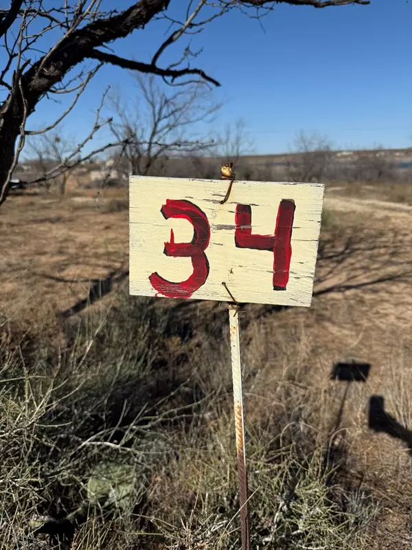 Colorado City, TX 79512,0 LCR 175