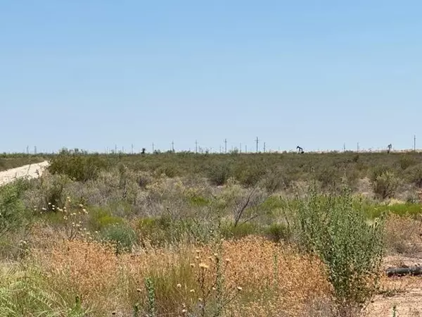 Odessa, TX 79766,0 Saltgrass St