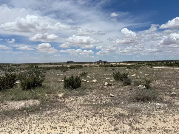 Big Spring, TX 79720,0000 Los Alamitos Trail