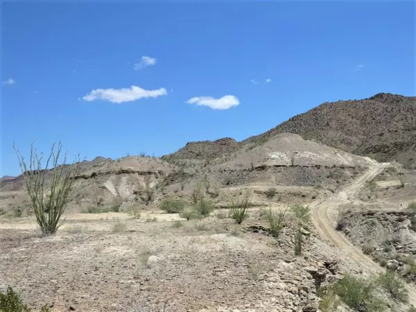 Terlingua, TX 79852,TR: 310 Private Rd
