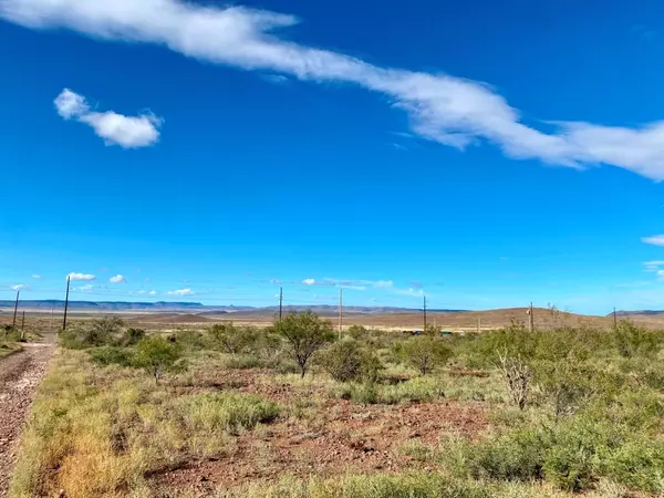 Alpine, TX 79830,Hwy 90 Hwy 90