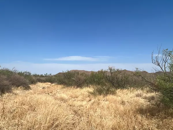 Terlingua, TX 79852,TR 8575 Private Rd