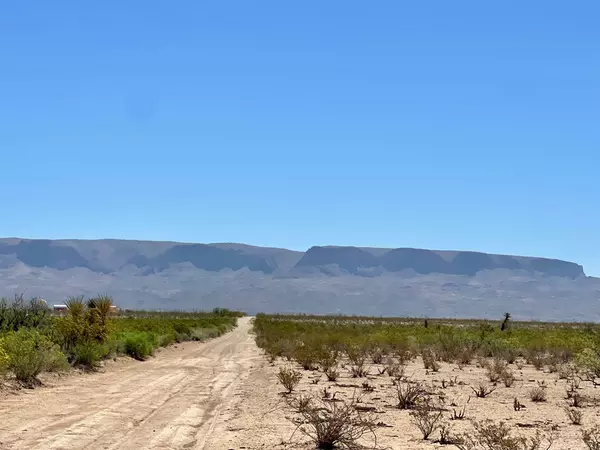 Terlingua, TX 79852,TR 4411 Roja Lane