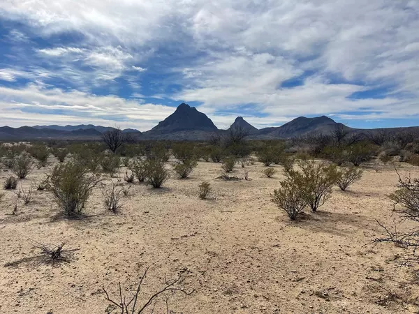 Terlingua, TX 79852,TR:604C LTM Rd
