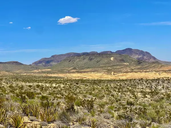 Terlingua, TX 79852,TR 2423 Herman's Peak Rd