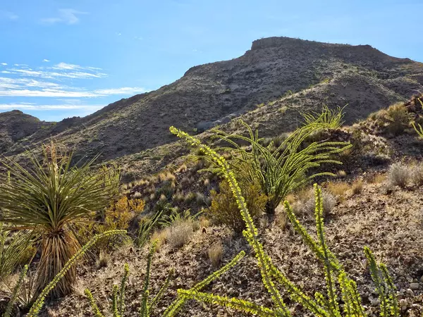 Terlingua, TX 79852,83D Gate 2 Road