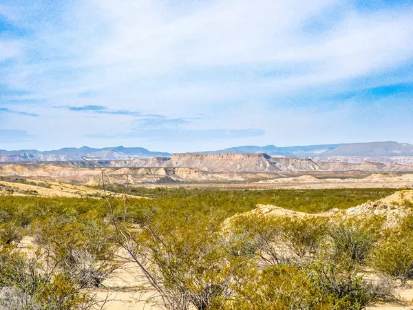 Terlingua, TX 79852,14192 La Luna Rd