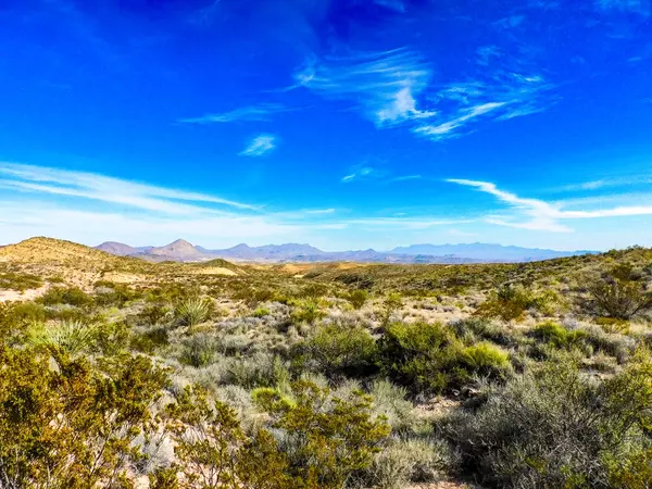 Terlingua, TX 79852,14192 La Luna Rd