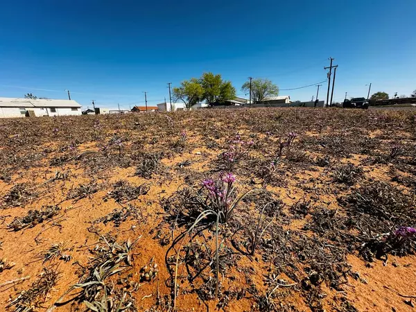 Andrews, TX 79714,201 Ave C