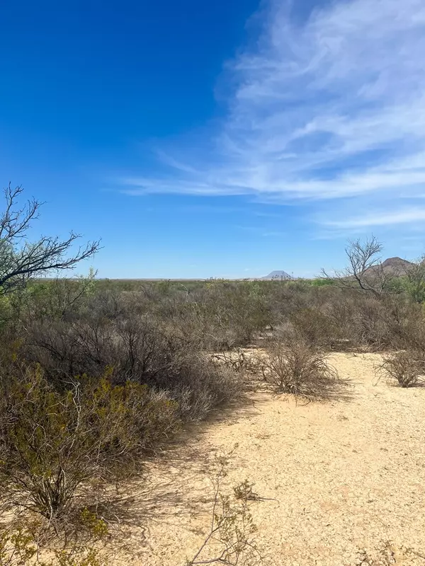 Terlingua, TX 79852,1401 Digger Rd