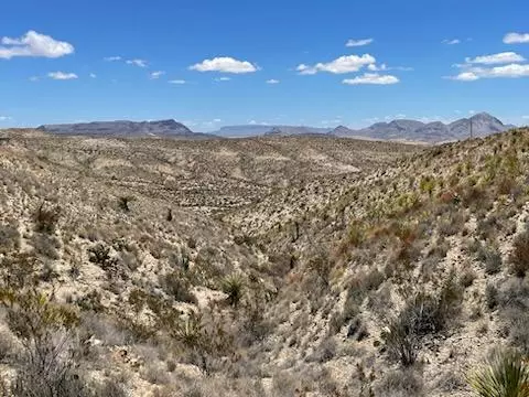 Terlingua, TX 79852,2851 Blue Ridge Rd.