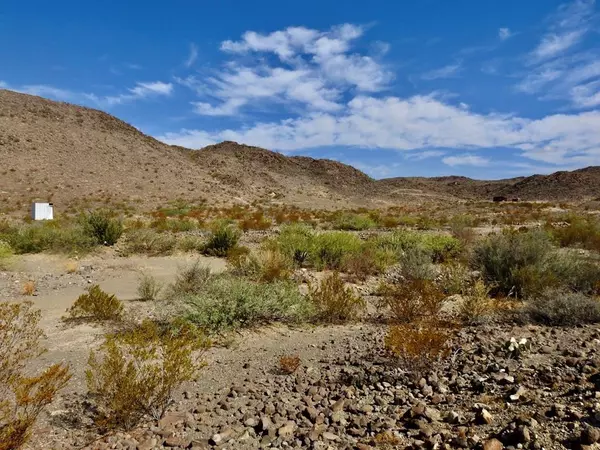 Terlingua, TX 79852,25300 FM 170