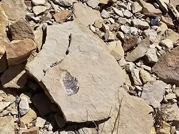 Terlingua, TX 79852,2808 E. Echo Ranch Rd.