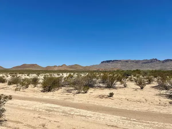 Terlingua, TX 79852,TR 2718A Private Rd