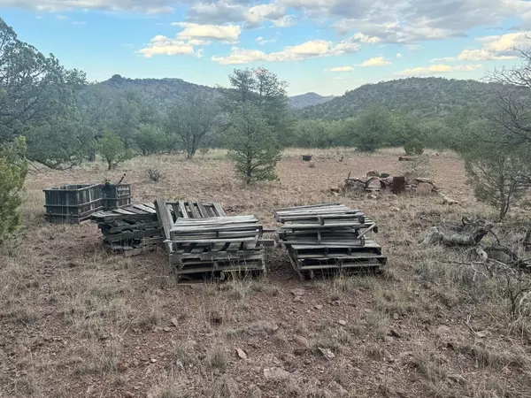 Fort Davis, TX 79734,325 High Lonesome