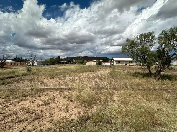 Alpine, TX 79830,1701 Ave I