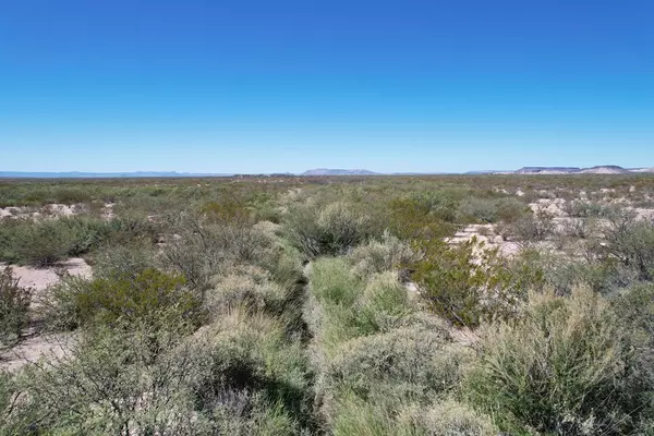 Alpine, TX 79830,25-8 Butcherknife Road