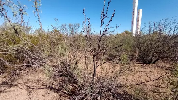 Valentine, TX 79854,107 Main