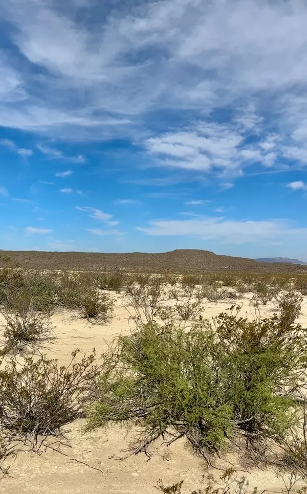 Terlingua, TX 79852,SEC 20 Private Rd