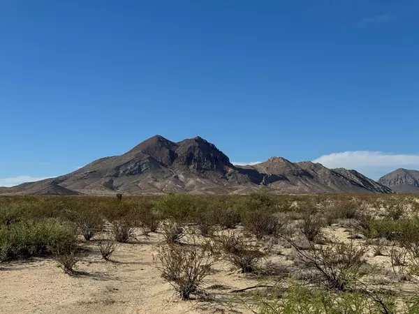 Terlingua, TX 79852,SEC 20 Private Rd