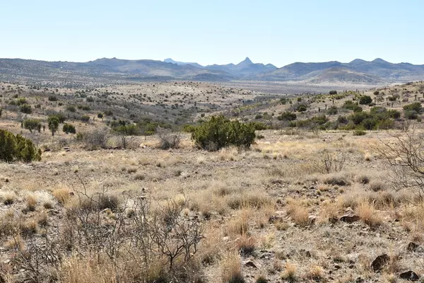 Alpine, TX 79830,100 High Lonesome