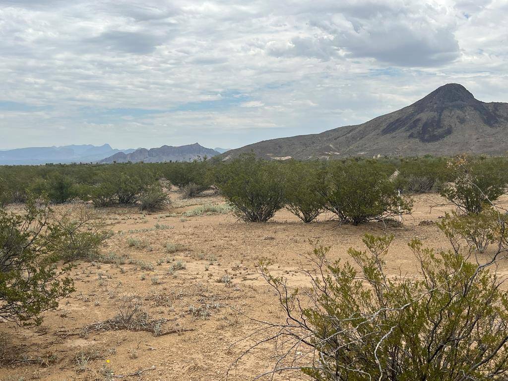 14833 Carico, Terlingua, TX 79852