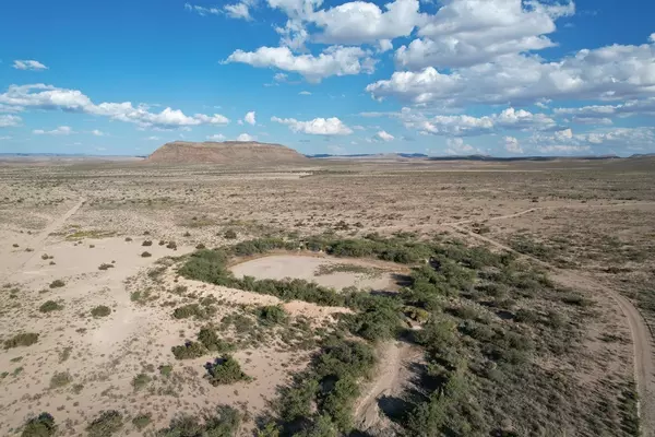 Sierra Blanca, TX 79851,27 Breeder Pass