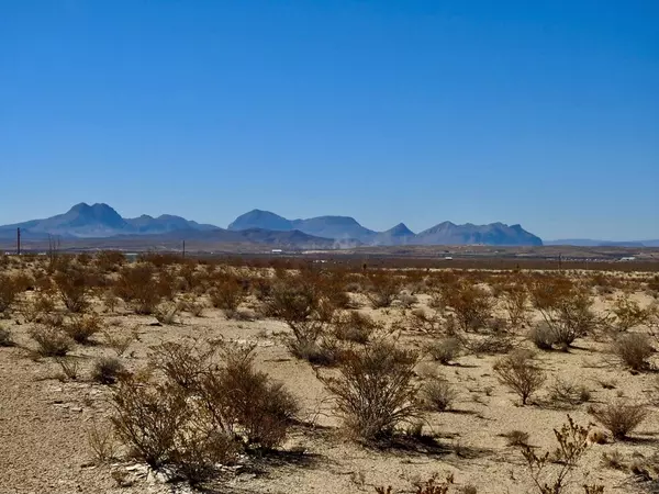 Terlingua, TX 79852,8623 Martinez Rd.